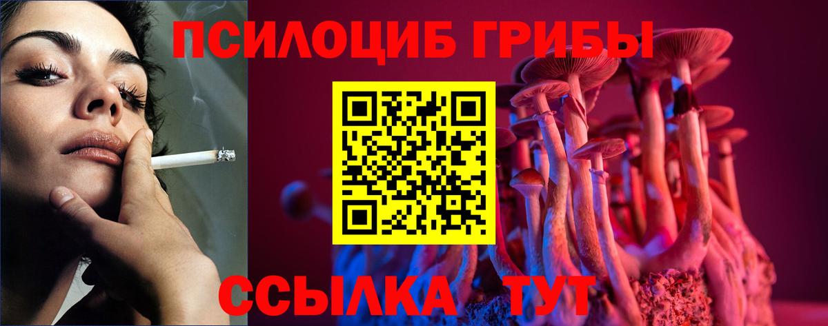 Галлюциногенные грибы прущие грибы Малоярославец